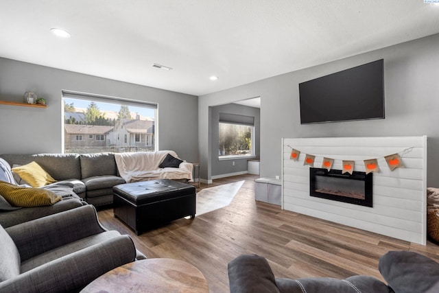 living room featuring hardwood / wood-style flooring