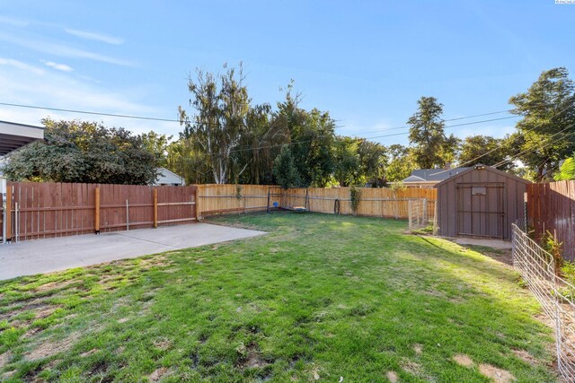 view of yard with a patio and a storage shed