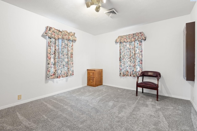 sitting room featuring carpet