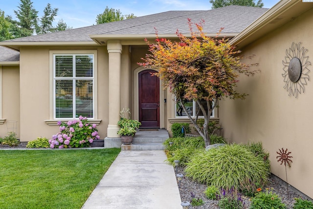439 Cherry Blossom Loop, Richland, WA 99352 - property entrance with a yard, stucco siding, and roof with shingles