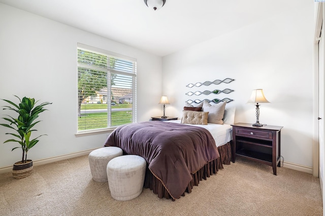 439 Cherry Blossom Loop, Richland, WA 99352 - bedroom with light carpet