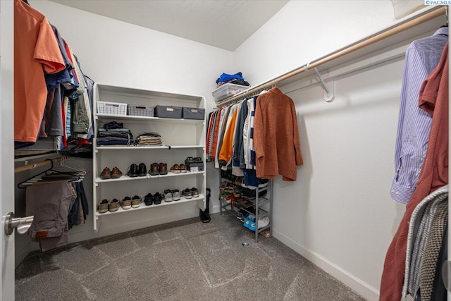 walk in closet featuring carpet floors