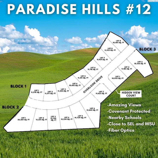 1195 NW Overlook Dr, Pullman WA, 99163 land for sale