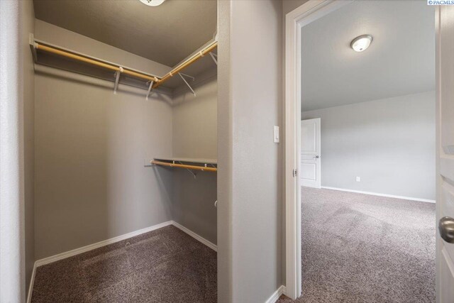 4014 Nitinat Ln, Pasco, WA 99301 - photo 16