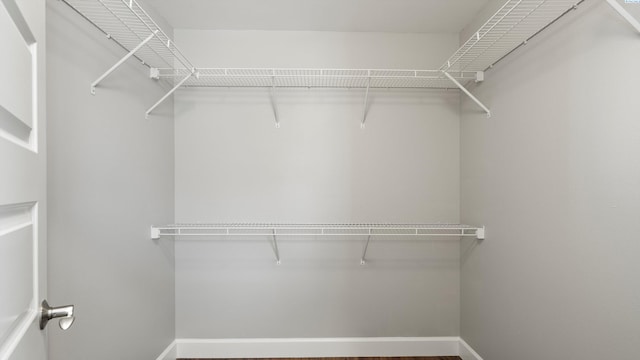 view of walk in closet