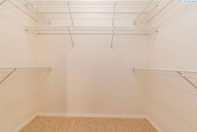 spacious closet with carpet floors