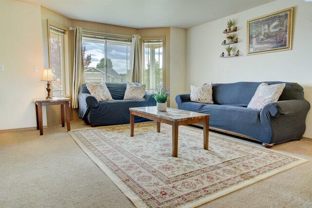 9611 Welsh Dr, Pasco, WA 99301 - living area featuring carpet and baseboards