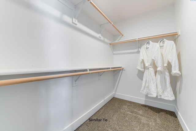6665 W 29th Ct, Kennewick, WA 99338 - spacious closet with carpet