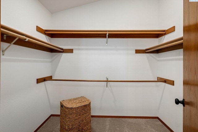 walk in closet with lofted ceiling and carpet