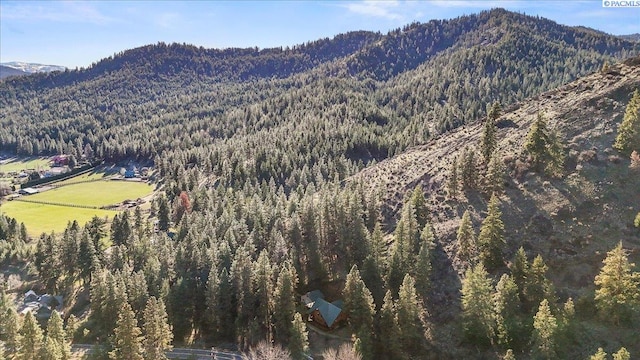 property view of mountains