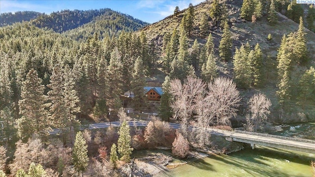 property view of mountains