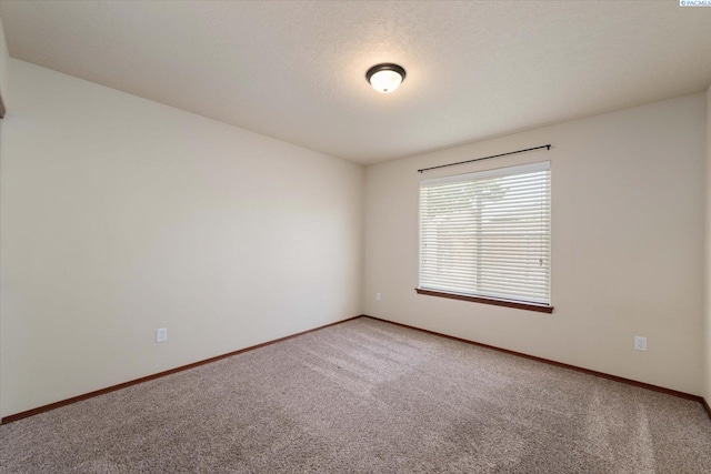 8912 W Bruneau Pl, Kennewick, WA 99336 - photo 26