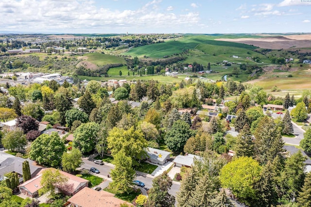 1315 NW Haven Cir, Pullman, WA 99163 - aerial perspective of suburban area