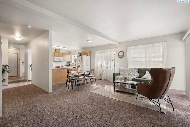 573-575 SE Shoemaker Pl, Pullman, WA 99163 - living room featuring light carpet