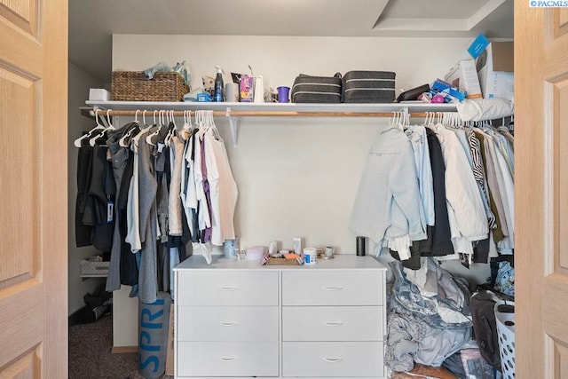 573-575 SE Shoemaker Pl, Pullman, WA 99163 - spacious closet featuring carpet floors