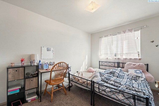 573-575 SE Shoemaker Pl, Pullman, WA 99163 - bedroom with carpet floors