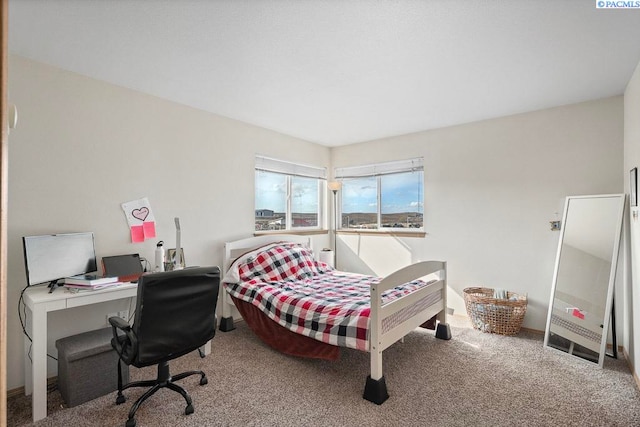 573-575 SE Shoemaker Pl, Pullman, WA 99163 - carpeted bedroom featuring an office area