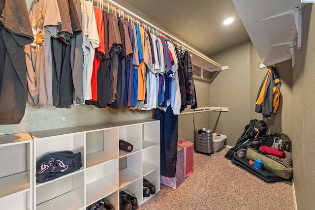 4016 W Ruby, Pasco, WA 99301 - spacious closet with carpet floors