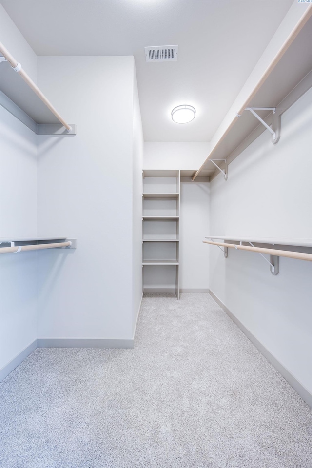 630 SW Cayuse St, Pullman, WA 99163 - walk in closet with carpet