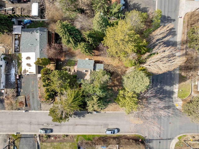 615 SW Winter Cir, Pullman, WA 99163 - aerial overview of property's location