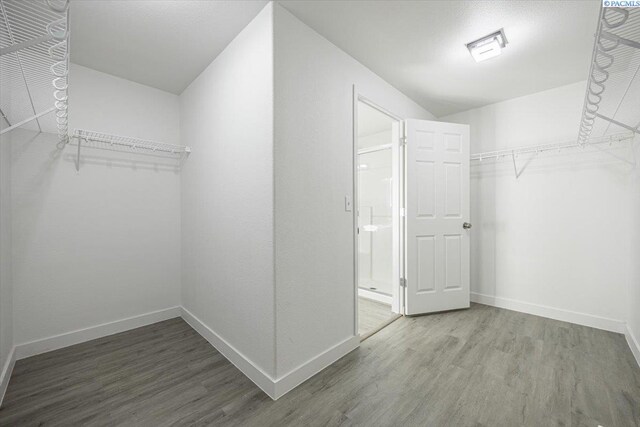 walk in closet with hardwood / wood-style flooring