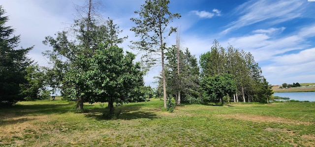 4902 Fir Rd, Eltopia, WA 99330 - photo 33