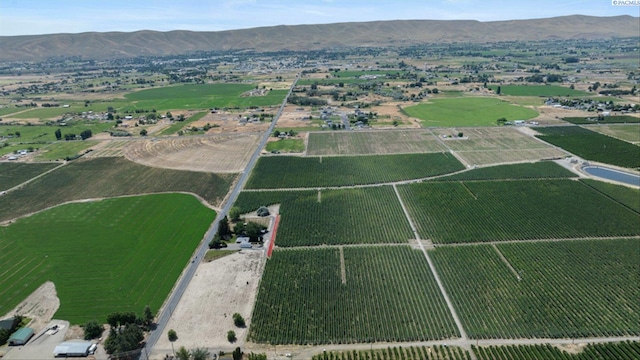 bird's eye view featuring a mountain view and a rural view