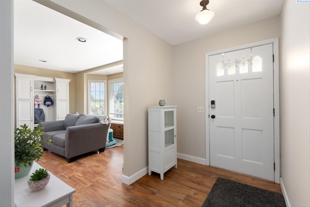 entryway with hardwood / wood-style flooring