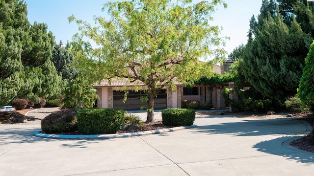 2618 Quarterhorse Way, Richland, WA 99352 - photo 2