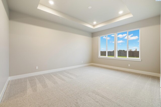 spare room featuring carpet floors and a tray ceiling