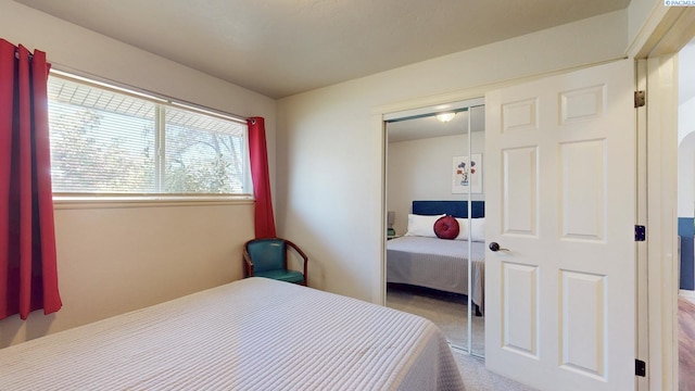 bedroom with a closet and carpet floors
