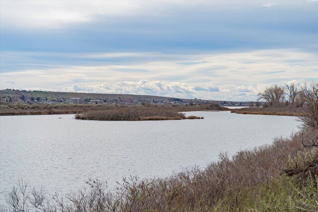 LOT10 Mitchell, Plymouth, WA 99346 - photo 5
