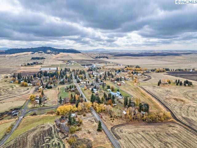 birds eye view of property with a mountain view and a rural view