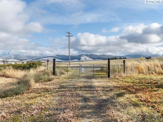 view of yard featuring a mountain view and a rural view