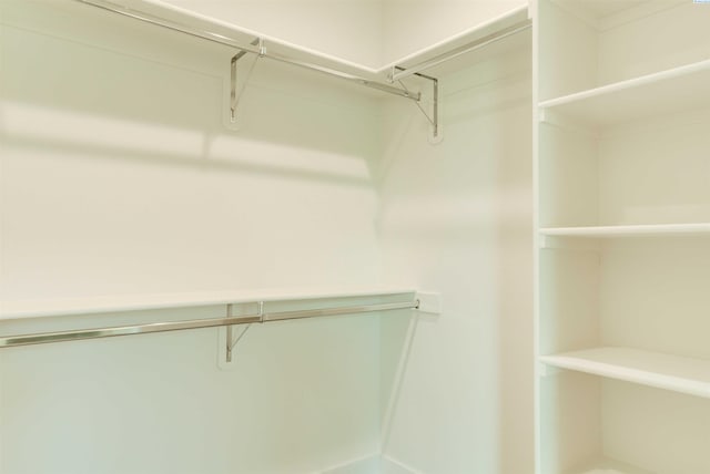 9418 Balflour Ct, Pasco, WA 99301 - view of walk in closet