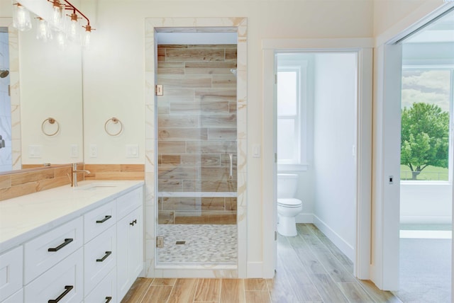 9418 Balflour Ct, Pasco, WA 99301 - bathroom with a shower stall, vanity, toilet, wood finished floors, and plenty of natural light
