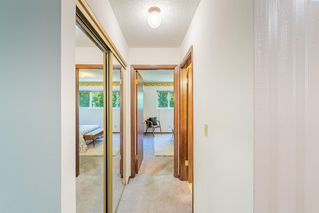 2912 W Hood Ave Unit B203, Kennewick, WA 99336 - photo 10