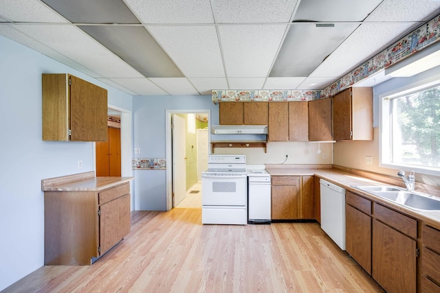 212 C St, Endicott, WA 99125 - kitchen with white appliances, a paneled ceiling, brown cabinets, custom range hood, and light wood-style flooring