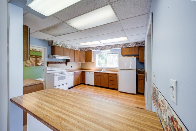 212 C St, Endicott, WA 99125 - kitchen featuring white appliances, under cabinet range hood, a drop ceiling, light wood finished floors, and brown cabinetry