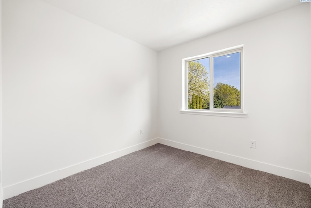 1119 S Underwood Pl, Kennewick, WA 99337 - photo 34