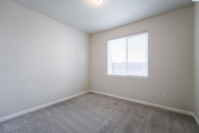 8808 Landon Ct, Pasco, WA 99301 - photo 21