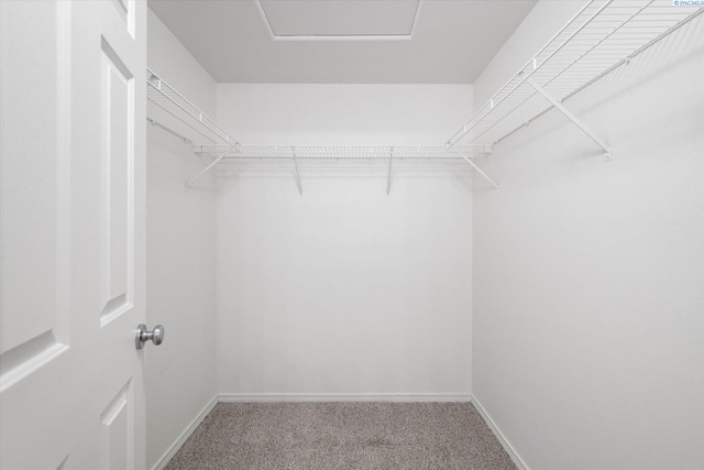 1713 W 39th Ave, Kennewick, WA 99337 - walk in closet featuring carpet flooring
