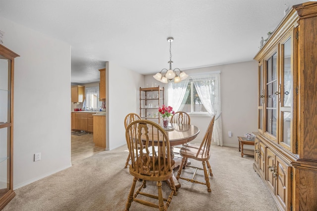 5107 Cleveland Ln, Pasco, WA 99301 - photo 9