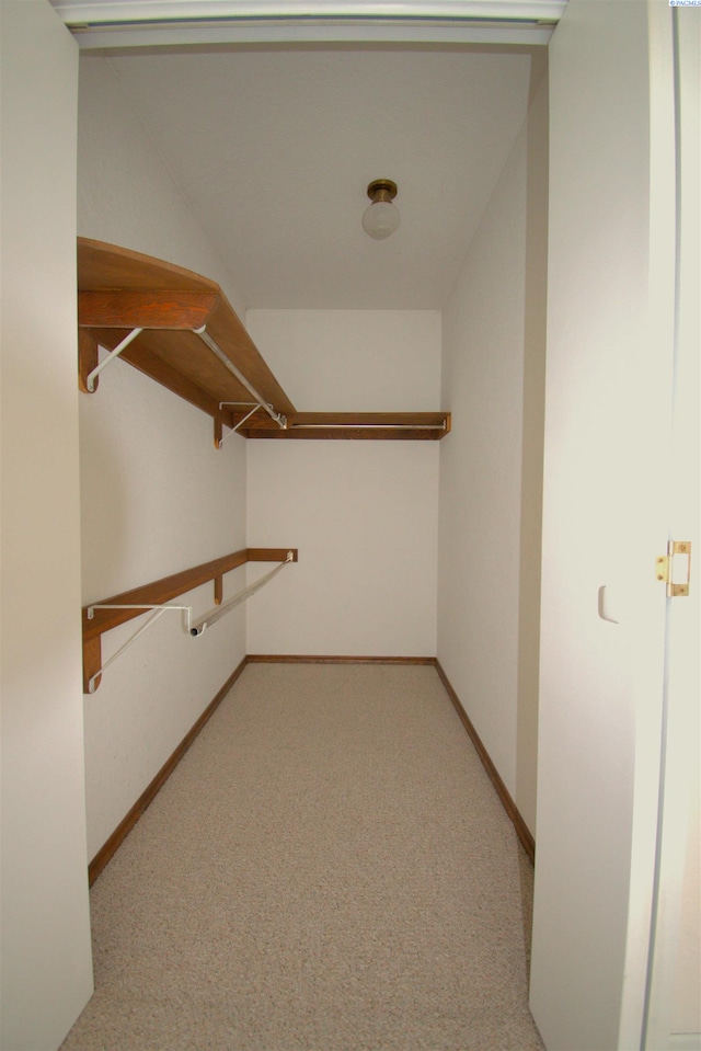 spacious closet with light colored carpet