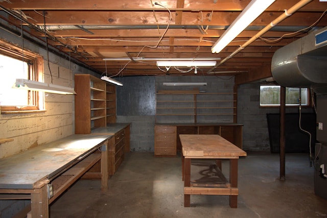 basement with a wealth of natural light