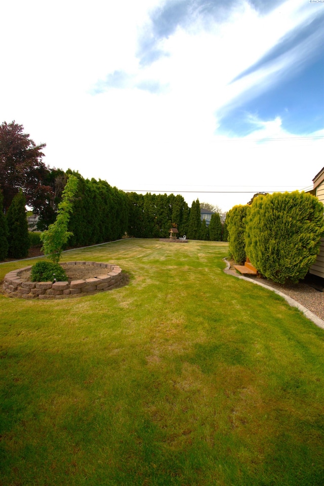 view of yard
