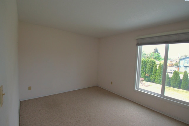 spare room featuring light colored carpet
