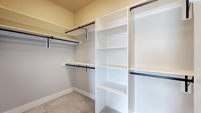 4801 White Dr, Richland, WA 99352 - spacious closet featuring light carpet