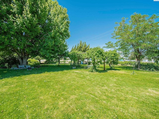 1520 Sheridan Ave, Prosser, WA 99350 - photo 36
