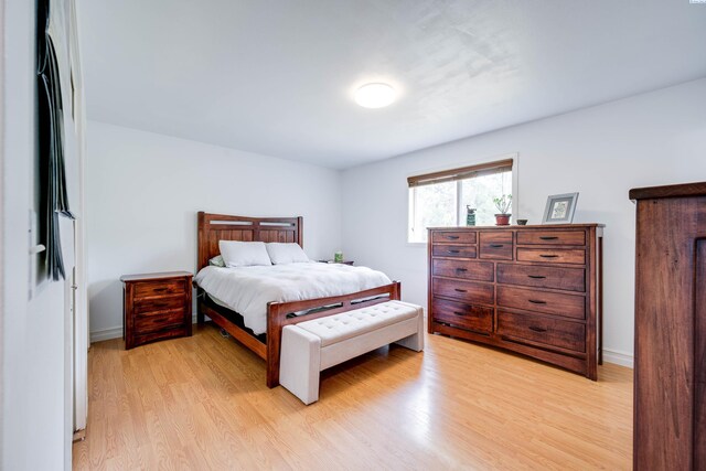 495 NW Robert St, Pullman, WA 99163 - bedroom featuring light wood-type flooring